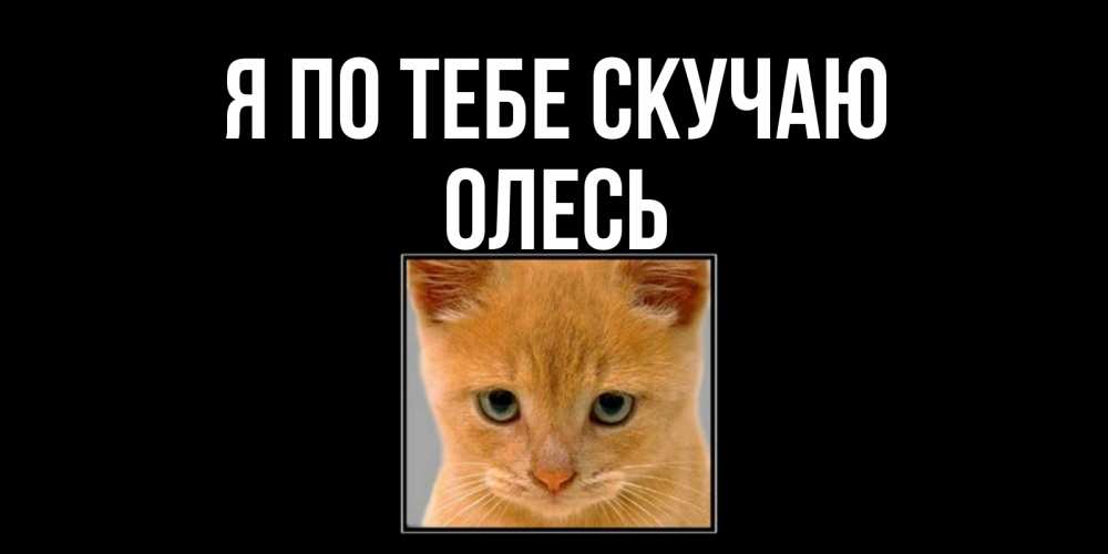 Открытка на каждый день с именем, Олесь Я по тебе скучаю открытки рыжий котенок скучает по тебе Прикольная открытка с пожеланием онлайн скачать бесплатно 