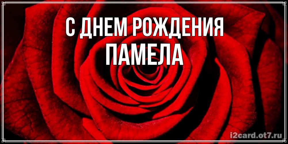 Открытка на каждый день с именем, Памела С днем рождения алая роза Прикольная открытка с пожеланием онлайн скачать бесплатно 