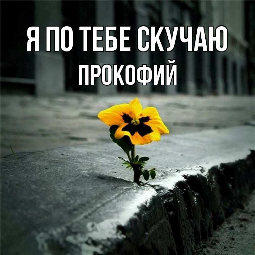 Открытка на каждый день с именем, Прокофий Я по тебе скучаю надеюсь будет лучше Прикольная открытка с пожеланием онлайн скачать бесплатно 