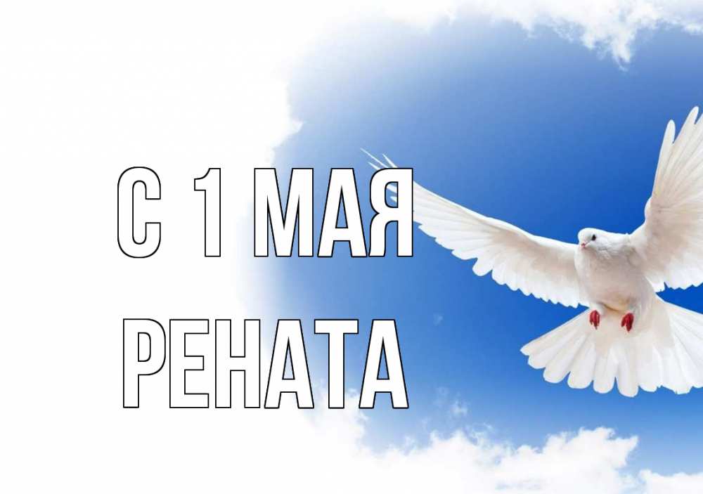 Открытка на каждый день с именем, Рената С 1 мая С 1 мая Прикольная открытка с пожеланием онлайн скачать бесплатно 