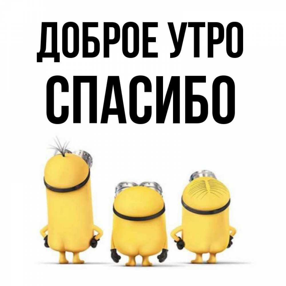 Открытка на каждый день с именем, СПАСИБО Доброе утро подписать открытку онлайн бесплатно Прикольная открытка с пожеланием онлайн скачать бесплатно 