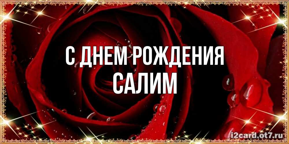 Открытка на каждый день с именем, Салим С днем рождения цветок в росе на день рождения Прикольная открытка с пожеланием онлайн скачать бесплатно 