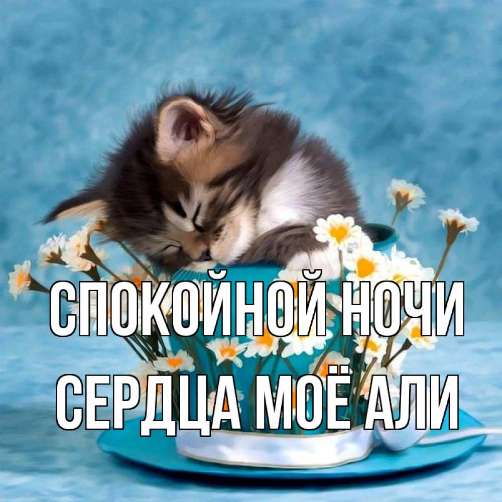 Открытка на каждый день с именем, Сердца-моё-Али Спокойной ночи котенок спит в кружке с блюдцем Прикольная открытка с пожеланием онлайн скачать бесплатно 
