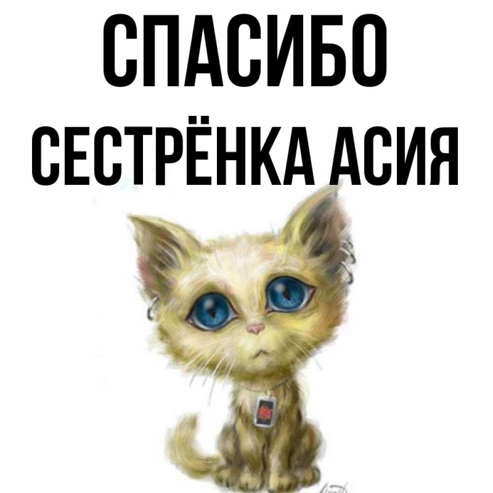 Открытка на каждый день с именем, Сестрёнка-Асия Спасибо рисованный кот благодарит вас Прикольная открытка с пожеланием онлайн скачать бесплатно 
