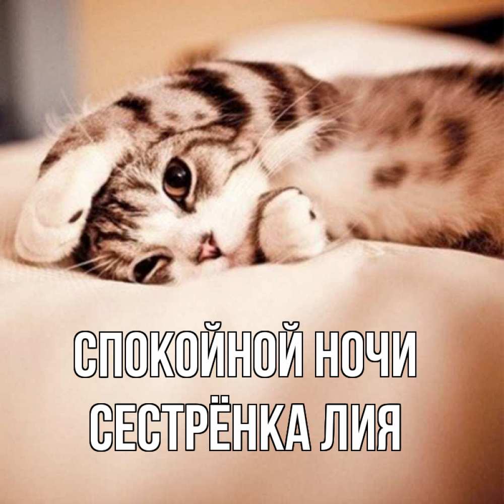 Открытка на каждый день с именем, Сестрёнка-Лия Спокойной ночи сладких снов с животными Прикольная открытка с пожеланием онлайн скачать бесплатно 