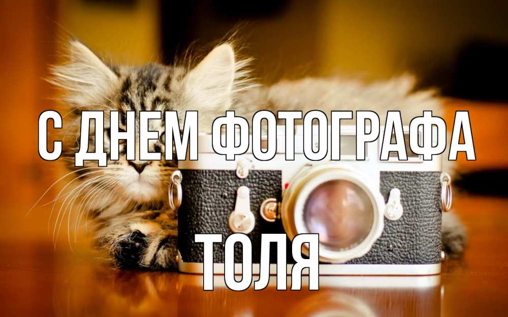 Открытка на каждый день с именем, Толя С днем фотографа с днем фотографа Прикольная открытка с пожеланием онлайн скачать бесплатно 