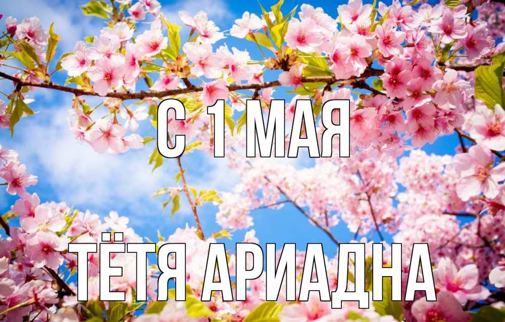 Открытка на каждый день с именем, Тётя-Ариадна С 1 мая С 1 мая Прикольная открытка с пожеланием онлайн скачать бесплатно 