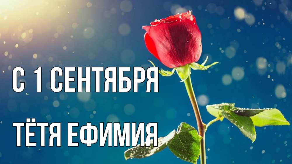 Открытка на каждый день с именем, Тётя-Ефимия С 1 сентября с днем знаний Прикольная открытка с пожеланием онлайн скачать бесплатно 