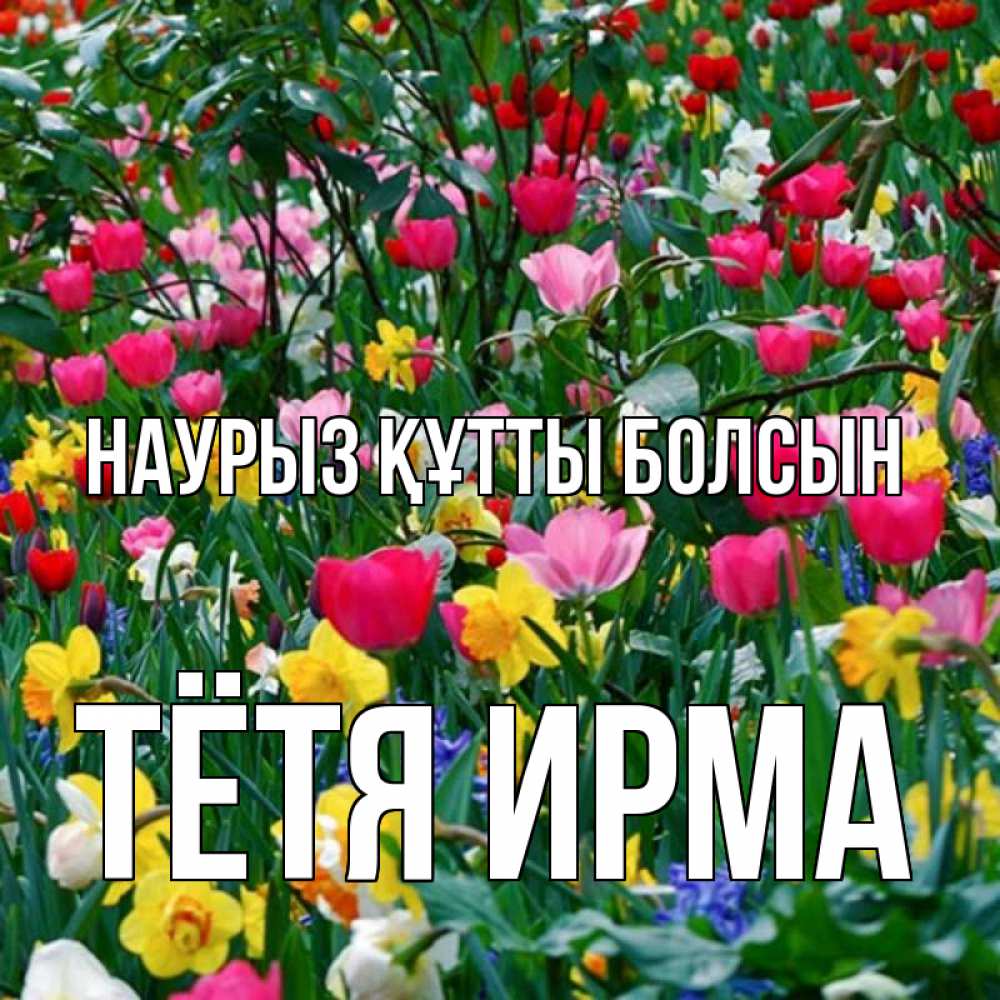 Открытка на каждый день с именем, Тётя-Ирма Наурыз құтты болсын с наурызом поздравления для женщины Прикольная открытка с пожеланием онлайн скачать бесплатно 