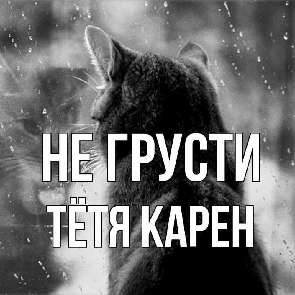 Открытка на каждый день с именем, Тётя-Карен Не грусти отражение кота 1 Прикольная открытка с пожеланием онлайн скачать бесплатно 