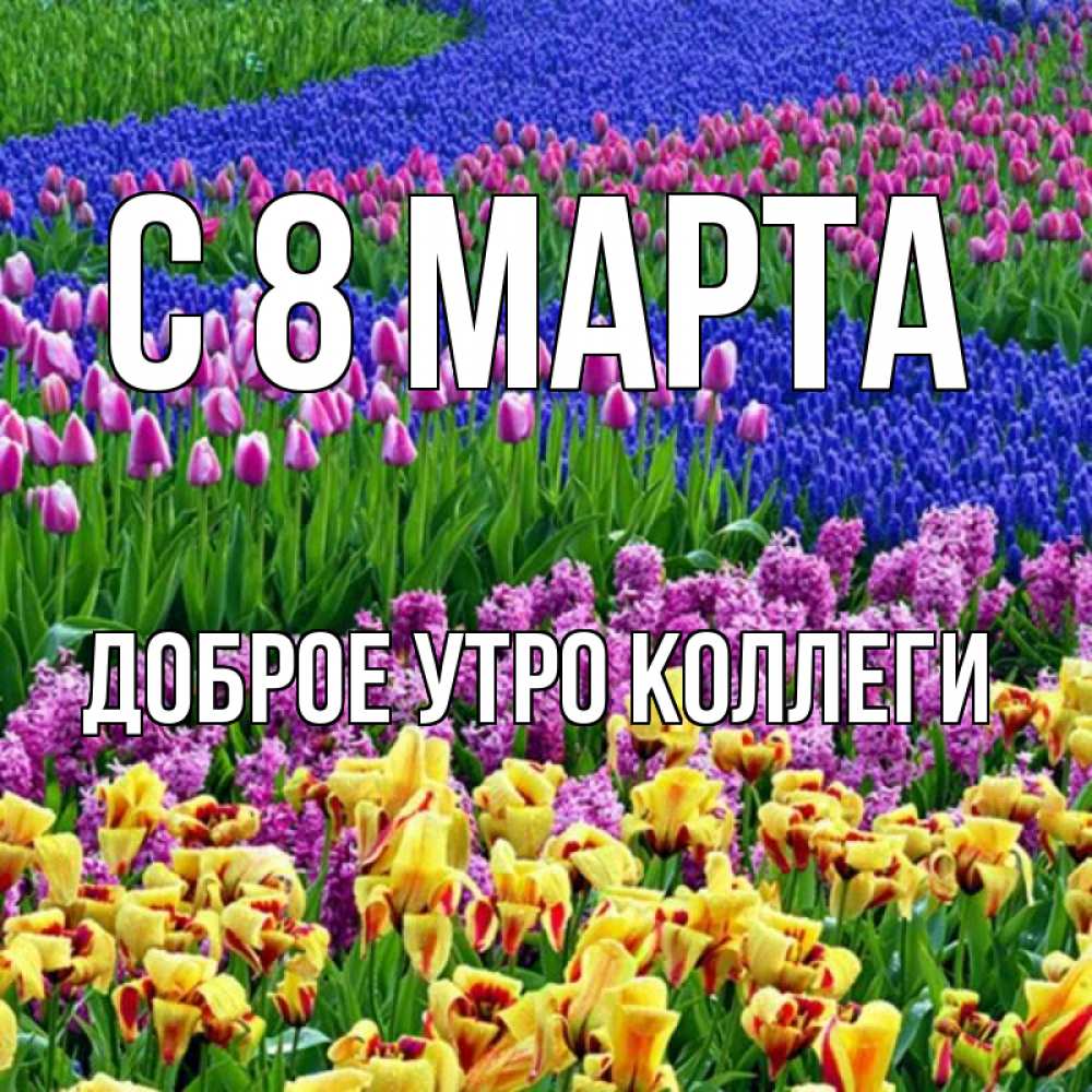 Открытка на каждый день с именем, Доброе-утро-Коллеги С 8 марта цветы Прикольная открытка с пожеланием онлайн скачать бесплатно 