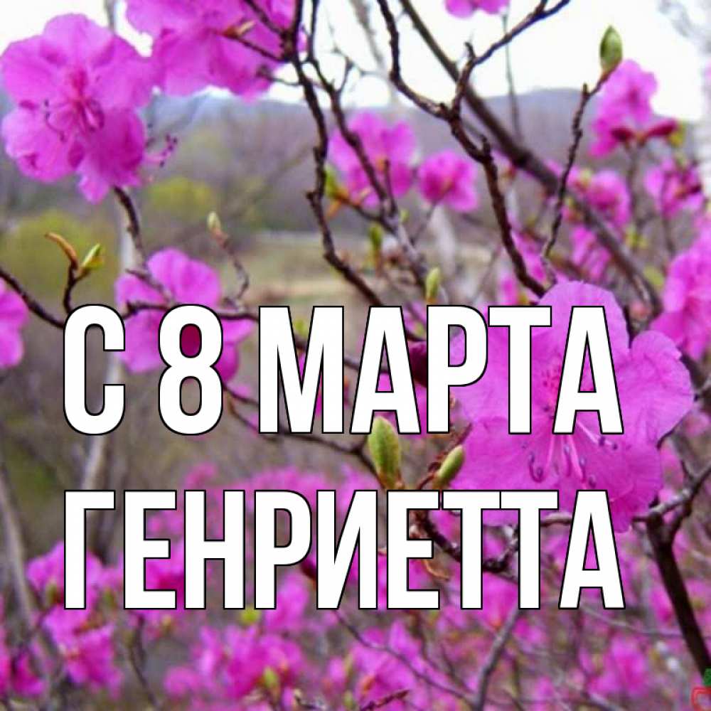 Открытка на каждый день с именем, Генриетта С 8 МАРТА международный женский день Прикольная открытка с пожеланием онлайн скачать бесплатно 