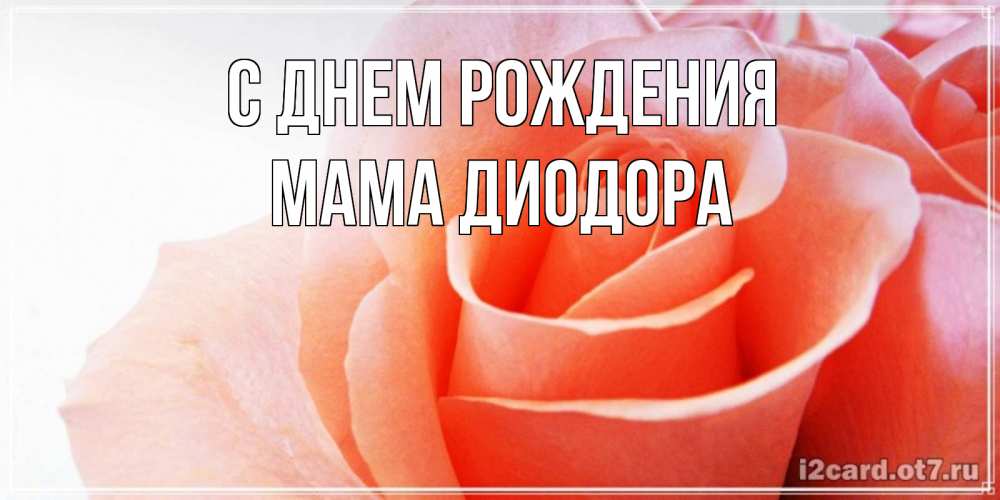 Открытка на каждый день с именем, Мама-Диодора С днем рождения розы для поздравления с днем рождения Прикольная открытка с пожеланием онлайн скачать бесплатно 