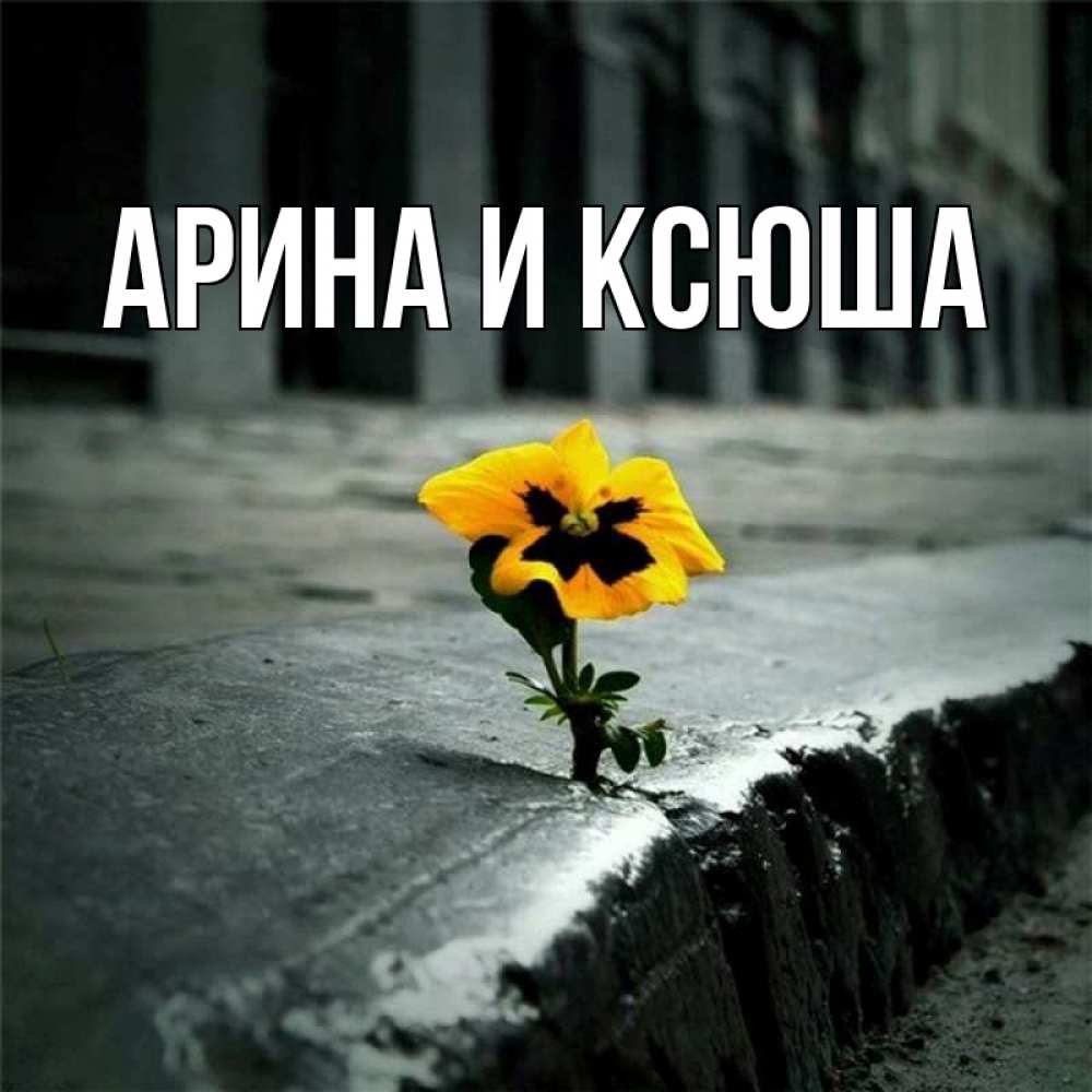 Открытка на каждый день с именем, Арина-и-Ксюша Главная надеюсь будет лучше Прикольная открытка с пожеланием онлайн скачать бесплатно 