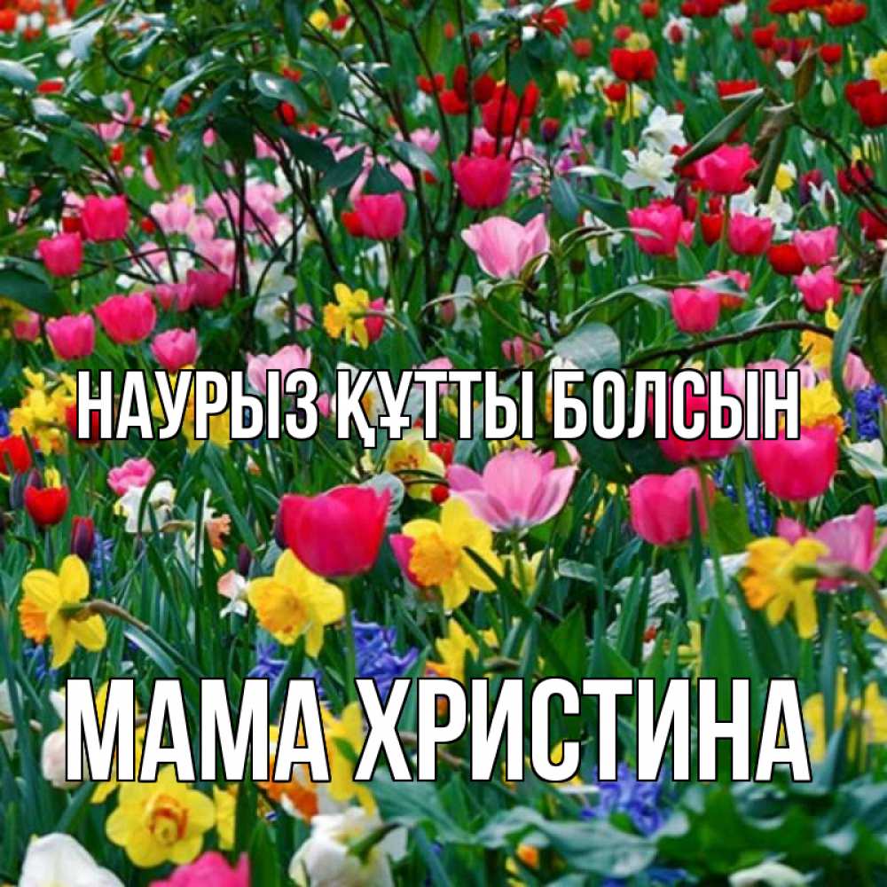 Открытка на каждый день с именем, Мама-Христина Наурыз құтты болсын с наурызом поздравления для женщины Прикольная открытка с пожеланием онлайн скачать бесплатно 