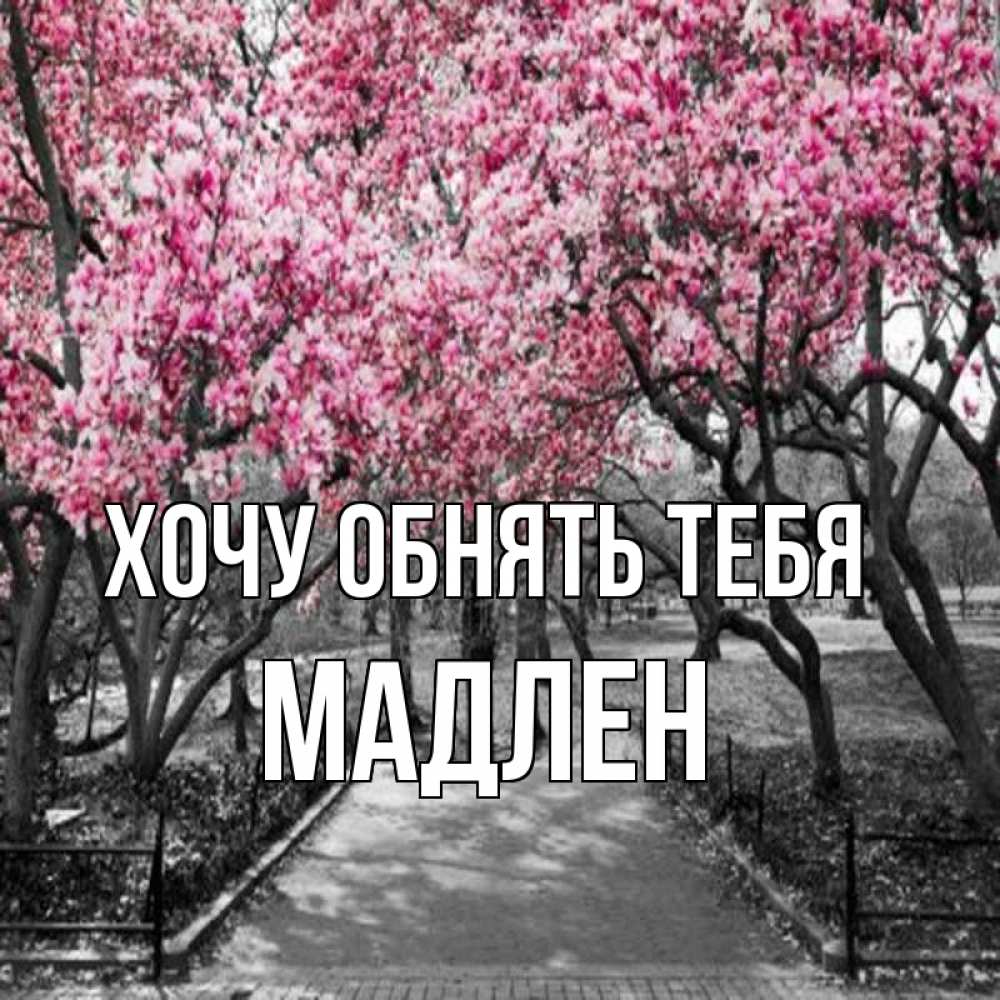 Открытка на каждый день с именем, Мадлен Хочу обнять тебя обработанное фото Прикольная открытка с пожеланием онлайн скачать бесплатно 