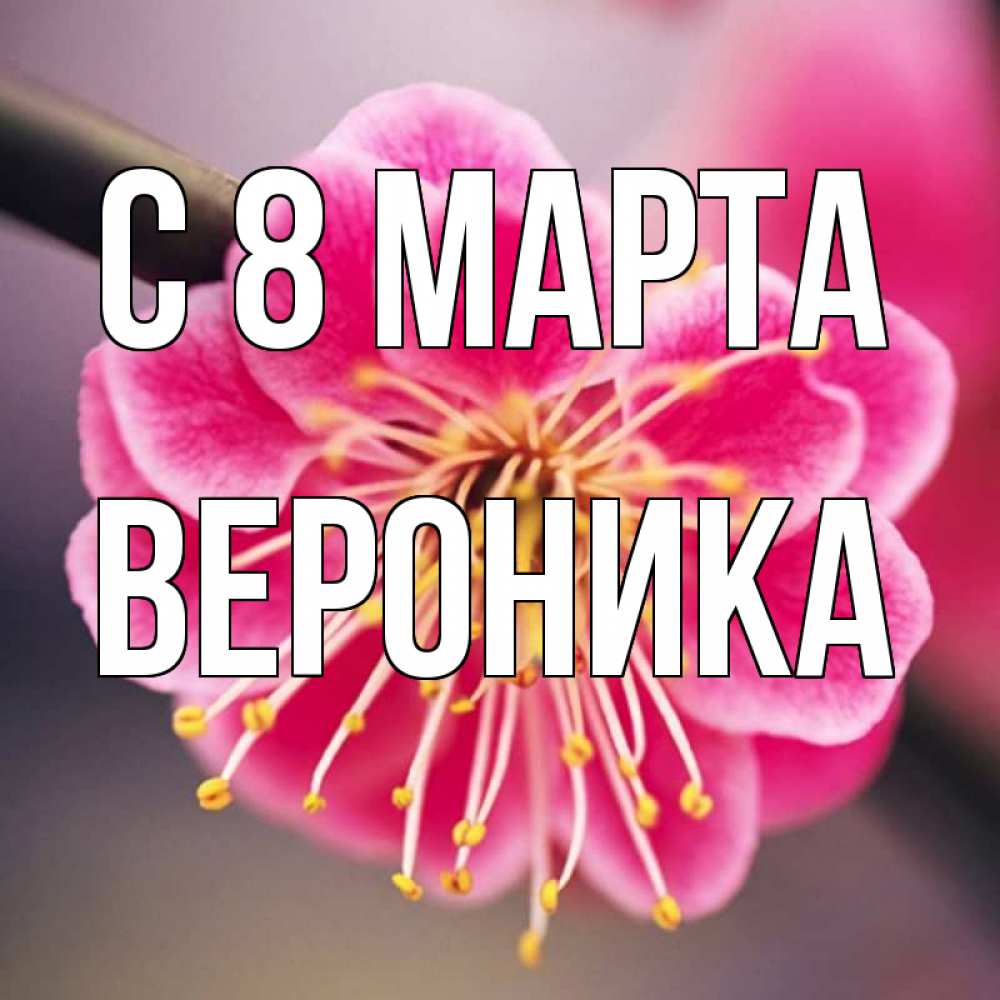 Открытка на каждый день с именем, вероника С 8 МАРТА цветы Прикольная открытка с пожеланием онлайн скачать бесплатно 