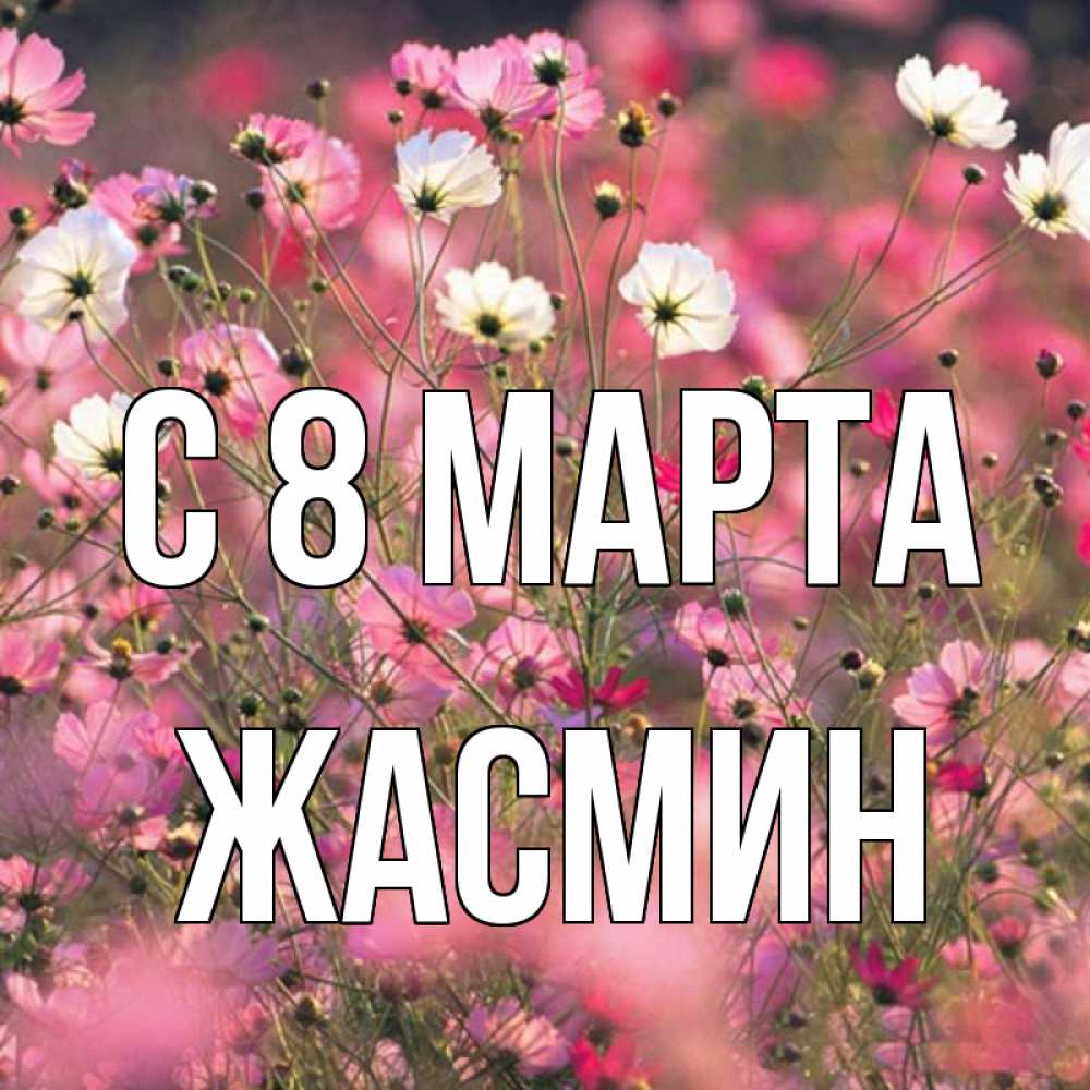 Открытка на каждый день с именем, Жасмин С 8 марта красиво 1 Прикольная открытка с пожеланием онлайн скачать бесплатно 