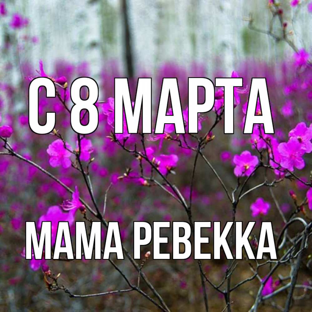 Открытка на каждый день с именем, Мама-Ревекка С 8 марта дикие цветы Прикольная открытка с пожеланием онлайн скачать бесплатно 