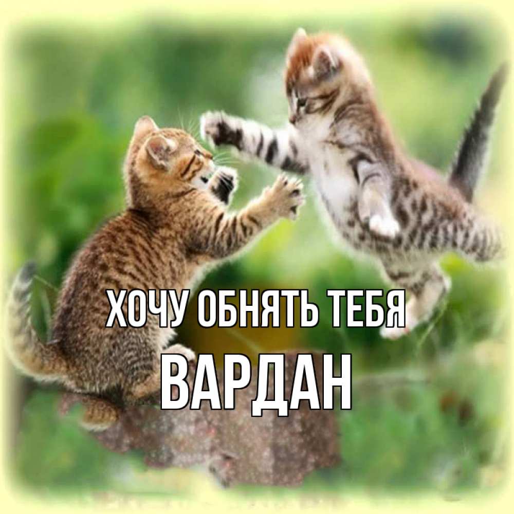 Открытка на каждый день с именем, Вардан Хочу обнять тебя игры котят Прикольная открытка с пожеланием онлайн скачать бесплатно 