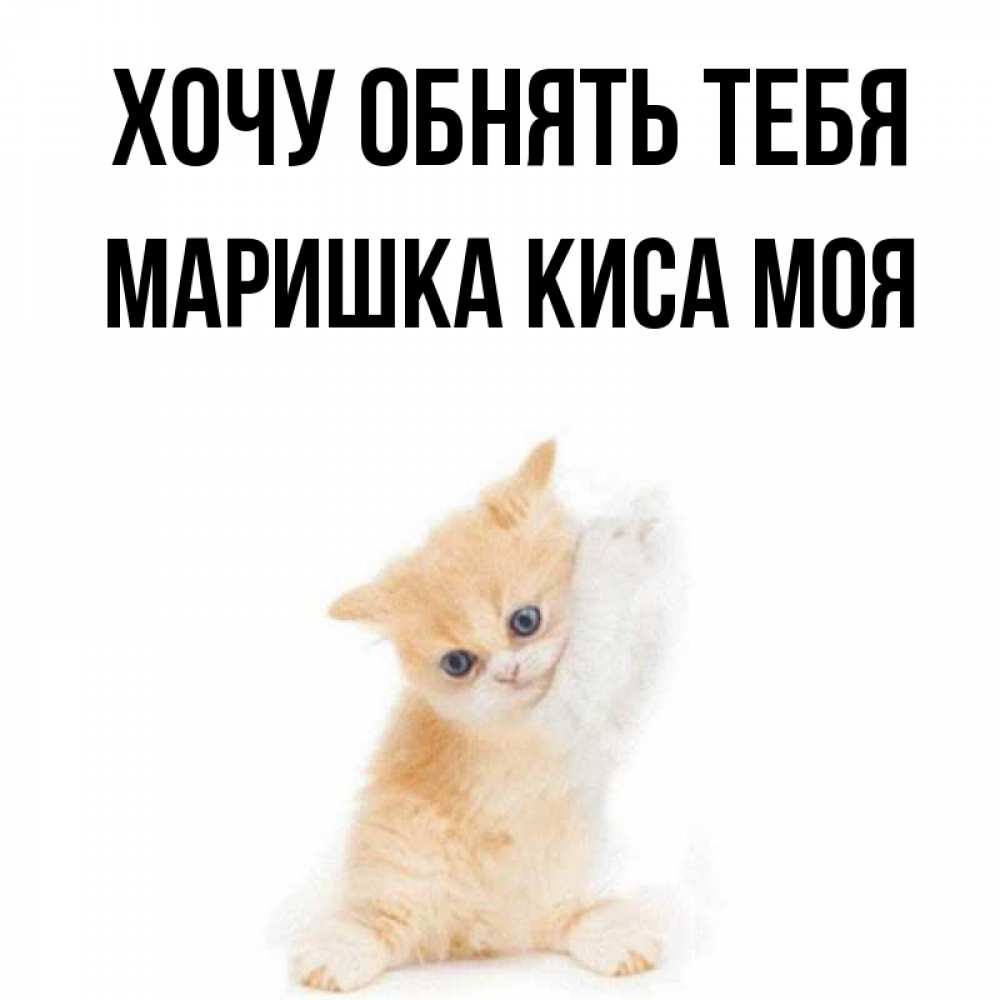Моя киса картинки
