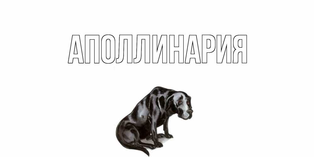 Открытка на каждый день с именем, Аполлинария Главная я по тебе скучаю открытка с собакой Прикольная открытка с пожеланием онлайн скачать бесплатно 