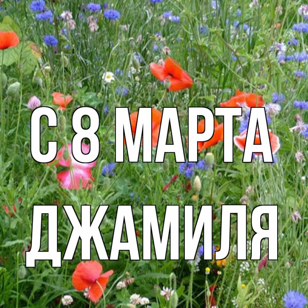 Открытка на каждый день с именем, Джамиля С 8 марта международный женский день 4 Прикольная открытка с пожеланием онлайн скачать бесплатно 