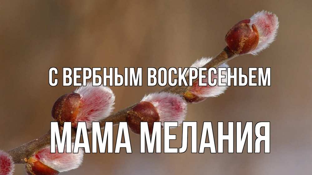 Открытка на каждый день с именем, Мама-Мелания С вербным воскресеньем верба Прикольная открытка с пожеланием онлайн скачать бесплатно 