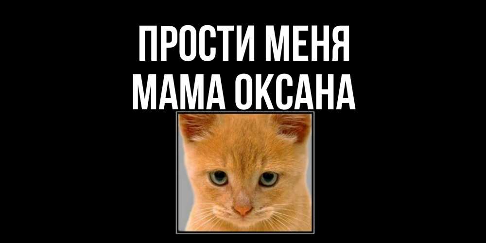 Открытка на каждый день с именем, Мама-Оксана Прости меня рыжий грустный кот просит прощения Прикольная открытка с пожеланием онлайн скачать бесплатно 
