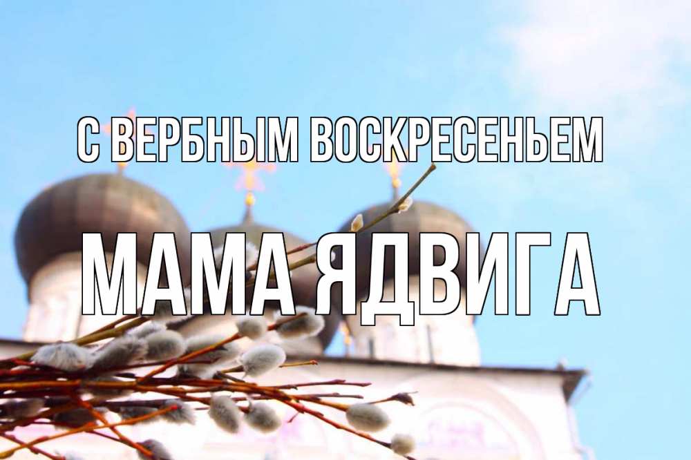 Открытка на каждый день с именем, Мама-Ядвига С вербным воскресеньем верба Прикольная открытка с пожеланием онлайн скачать бесплатно 