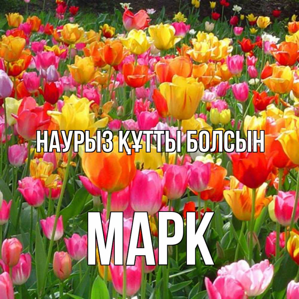 Открытка на каждый день с именем, Марк Наурыз құтты болсын на наурыз  ура ура Прикольная открытка с пожеланием онлайн скачать бесплатно 