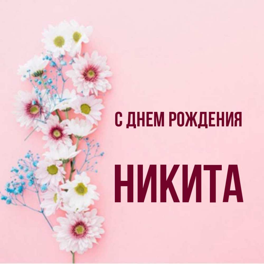 Открытка на каждый день с именем, НИКИТА С днем рождения Родная моя с днем рождения тебя картинка с цветами белыми и голубыми Прикольная открытка с пожеланием онлайн скачать бесплатно 