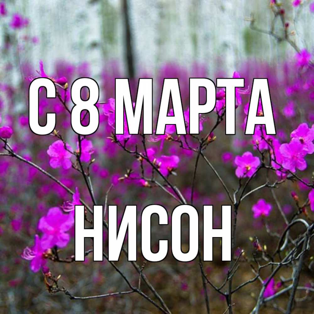 Открытка на каждый день с именем, Нисон С 8 МАРТА дикие цветы Прикольная открытка с пожеланием онлайн скачать бесплатно 