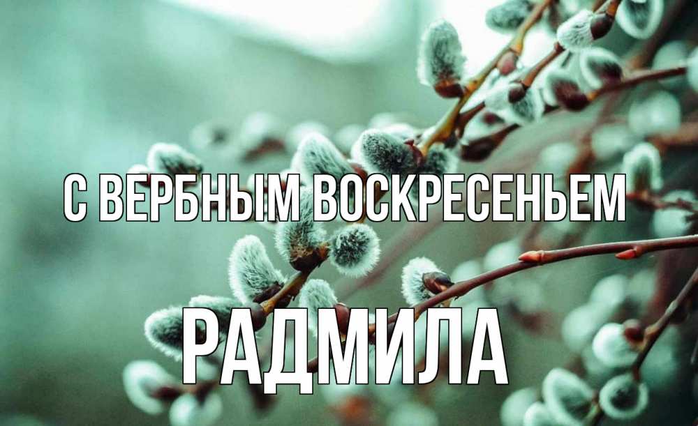 Открытка на каждый день с именем, Радмила С вербным воскресеньем верба Прикольная открытка с пожеланием онлайн скачать бесплатно 