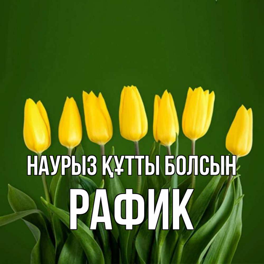 Открытка на каждый день с именем, Рафик Наурыз құтты болсын желтого цвета 3 Прикольная открытка с пожеланием онлайн скачать бесплатно 