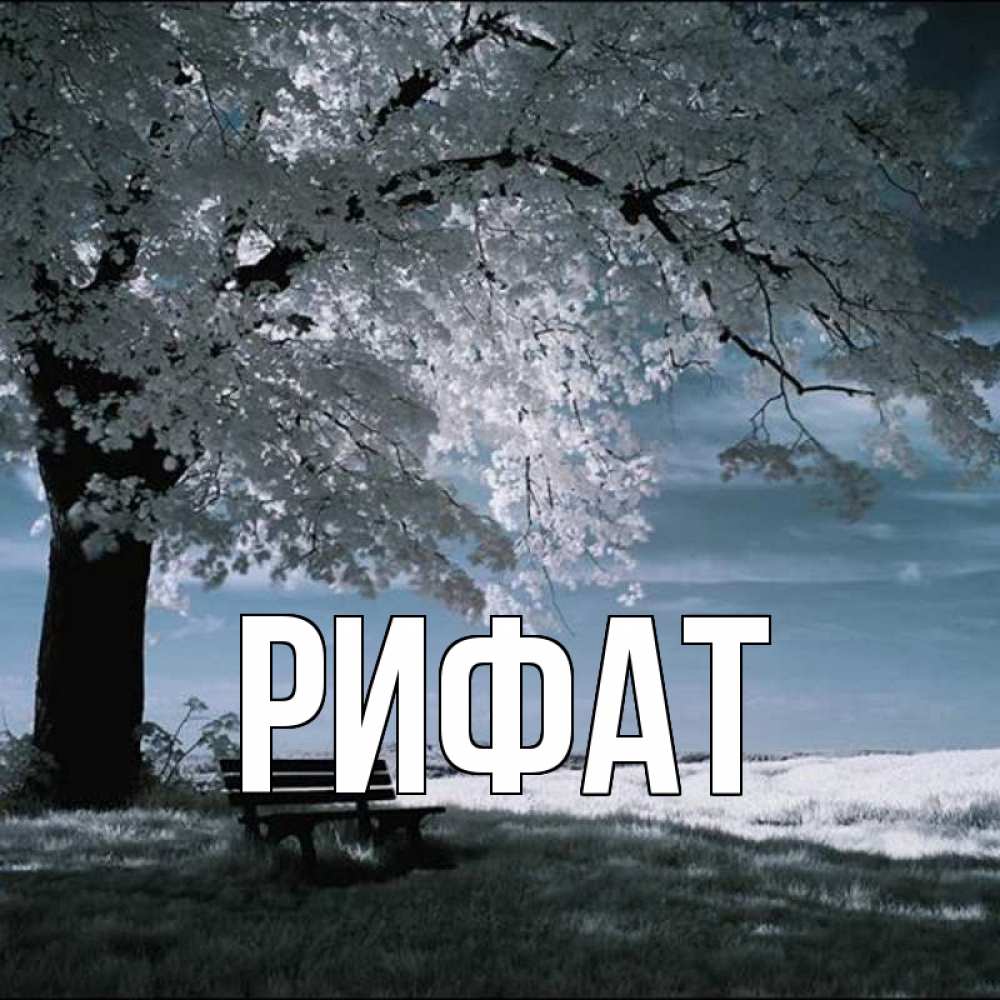 Открытка на каждый день с именем, Рифат Главная дерево Прикольная открытка с пожеланием онлайн скачать бесплатно 