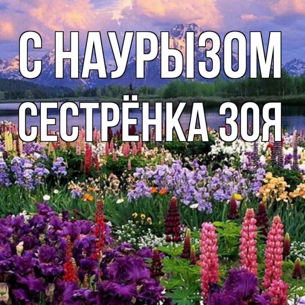 Открытка на каждый день с именем, Сестрёнка-Зоя С наурызом праздник весны наурыз Прикольная открытка с пожеланием онлайн скачать бесплатно 