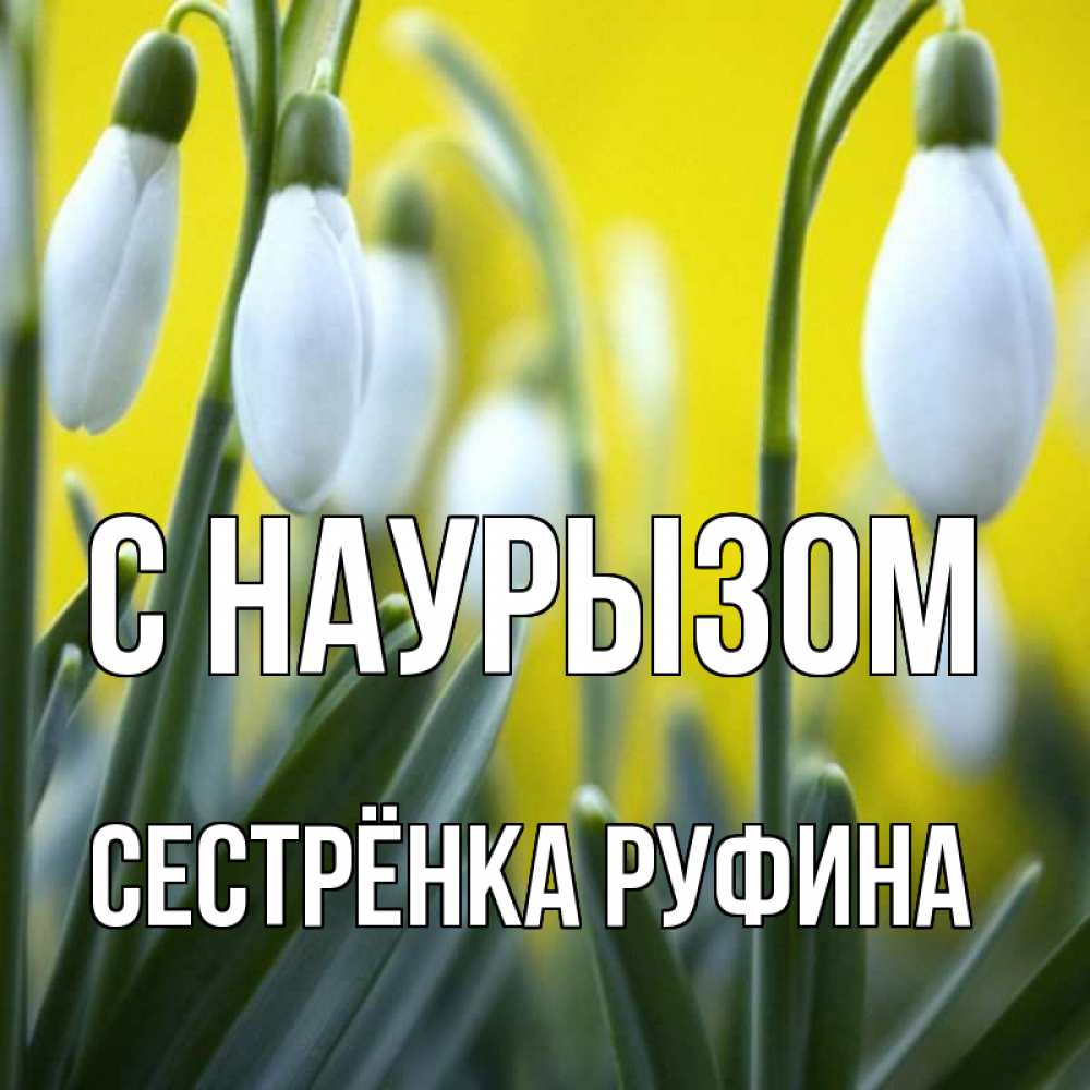Открытка на каждый день с именем, Сестрёнка-Руфина С наурызом весенние цветы Прикольная открытка с пожеланием онлайн скачать бесплатно 