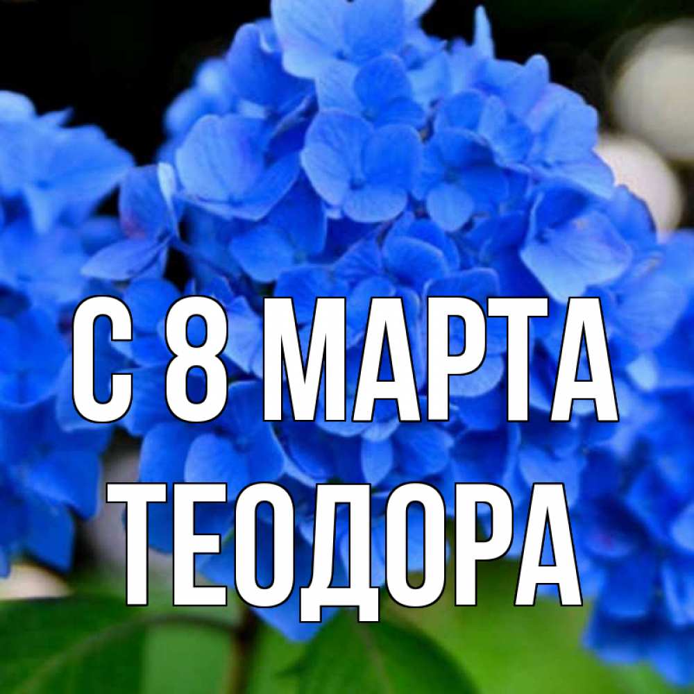 Открытка на каждый день с именем, Теодора С 8 МАРТА синие цветы Прикольная открытка с пожеланием онлайн скачать бесплатно 