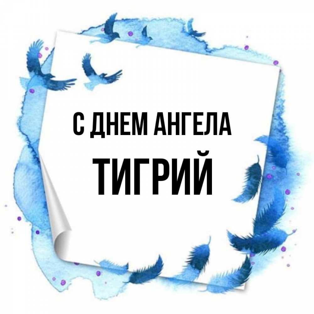 Открытка на каждый день с именем, Тигрий С днем ангела красивые птицы летят Прикольная открытка с пожеланием онлайн скачать бесплатно 