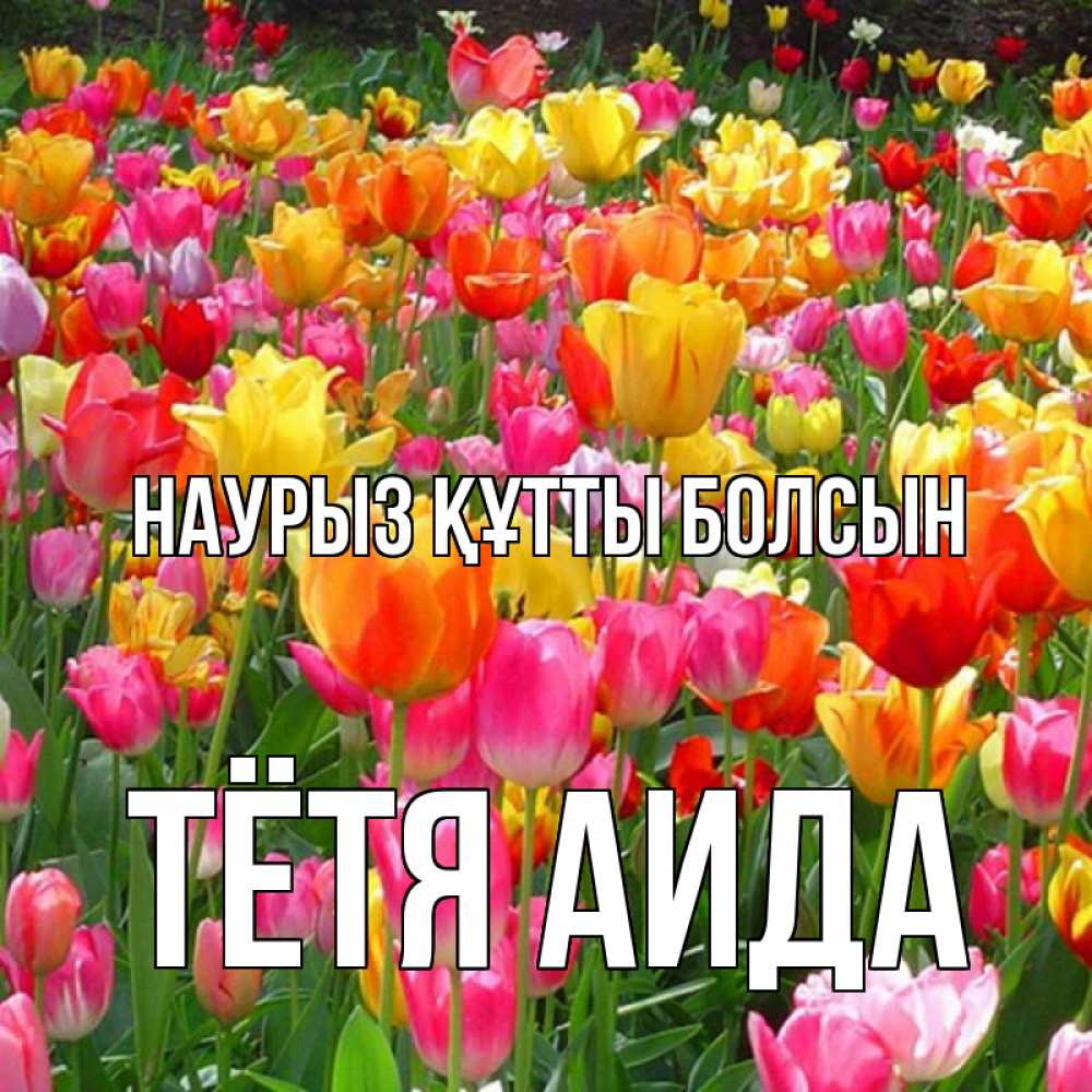 Открытка на каждый день с именем, Тётя-Аида Наурыз құтты болсын на наурыз  ура ура Прикольная открытка с пожеланием онлайн скачать бесплатно 