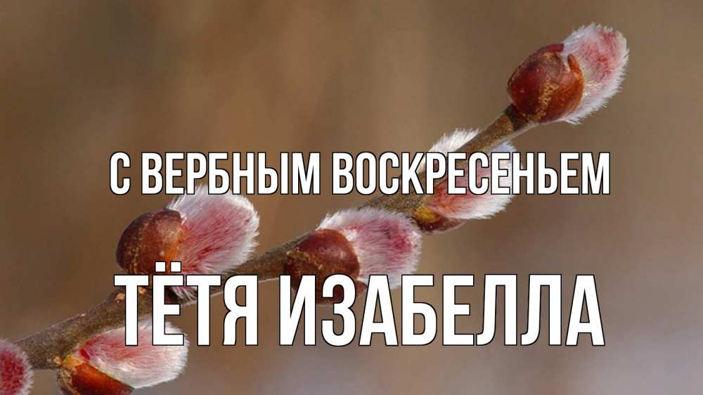 Открытка на каждый день с именем, Тётя-Изабелла С вербным воскресеньем верба Прикольная открытка с пожеланием онлайн скачать бесплатно 
