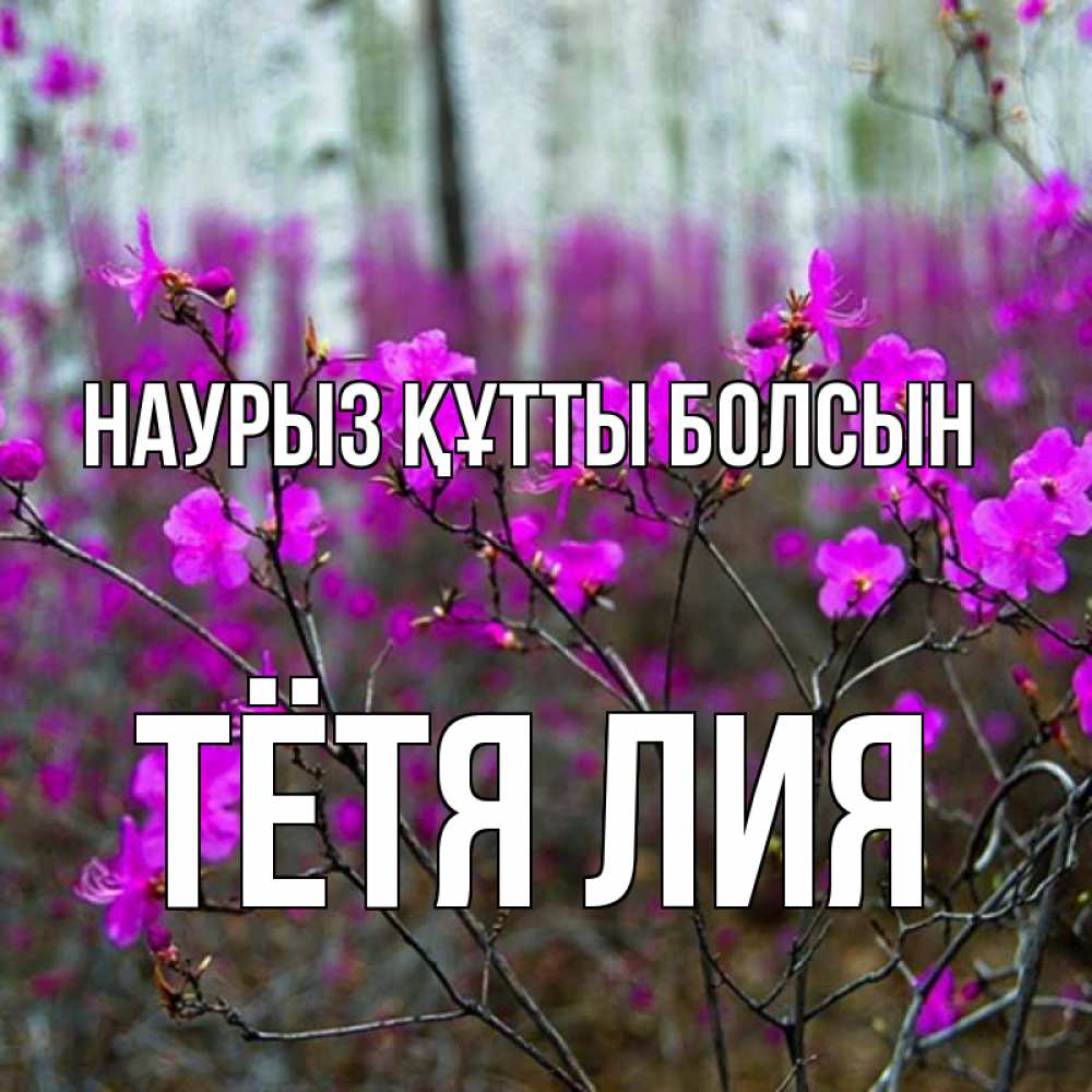 Открытка на каждый день с именем, Тётя-Лия Наурыз құтты болсын дикие цветы Прикольная открытка с пожеланием онлайн скачать бесплатно 