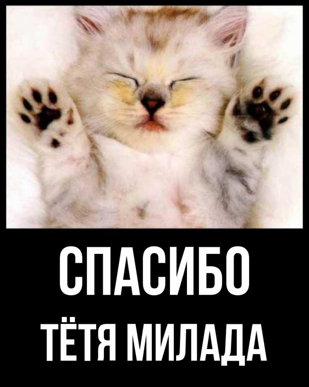 Открытка на каждый день с именем, Тётя-Милада Спасибо маленький котенок Прикольная открытка с пожеланием онлайн скачать бесплатно 