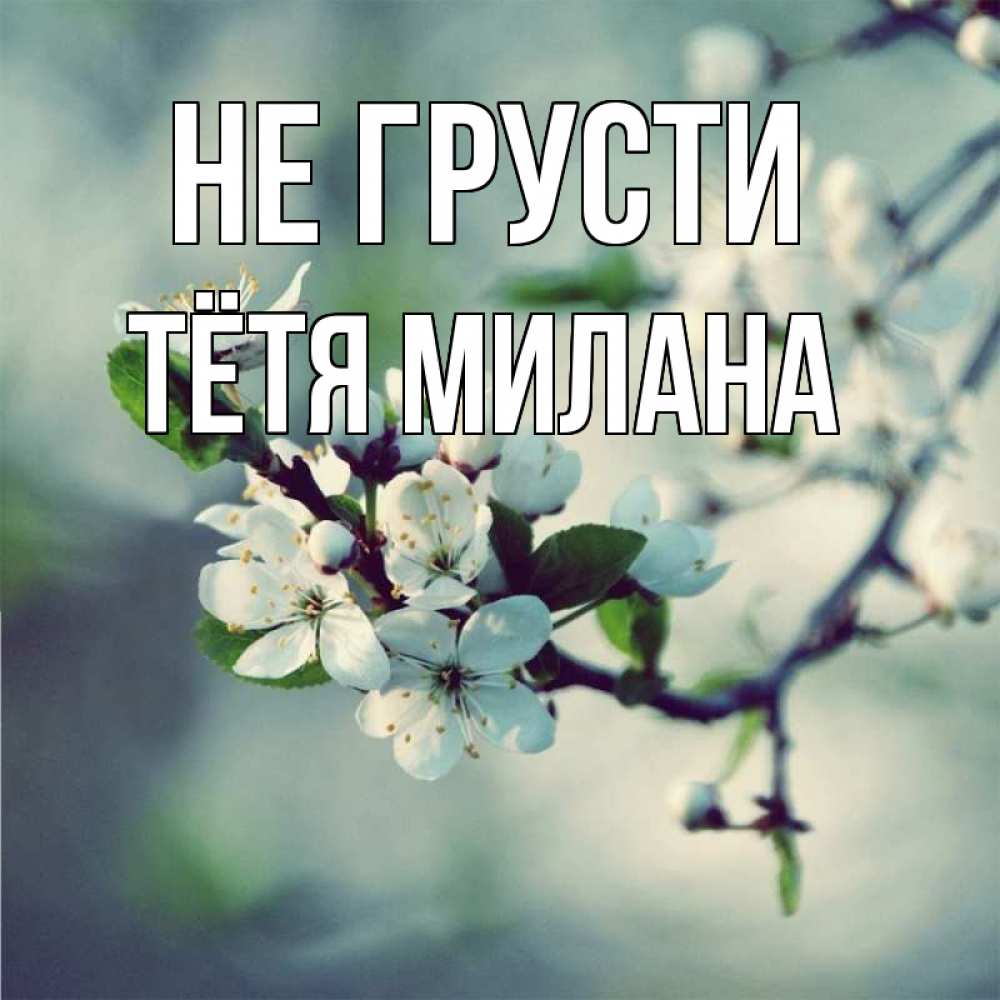 Открытка на каждый день с именем, Тётя-Милана Не грусти яблоня в цвету 1 Прикольная открытка с пожеланием онлайн скачать бесплатно 