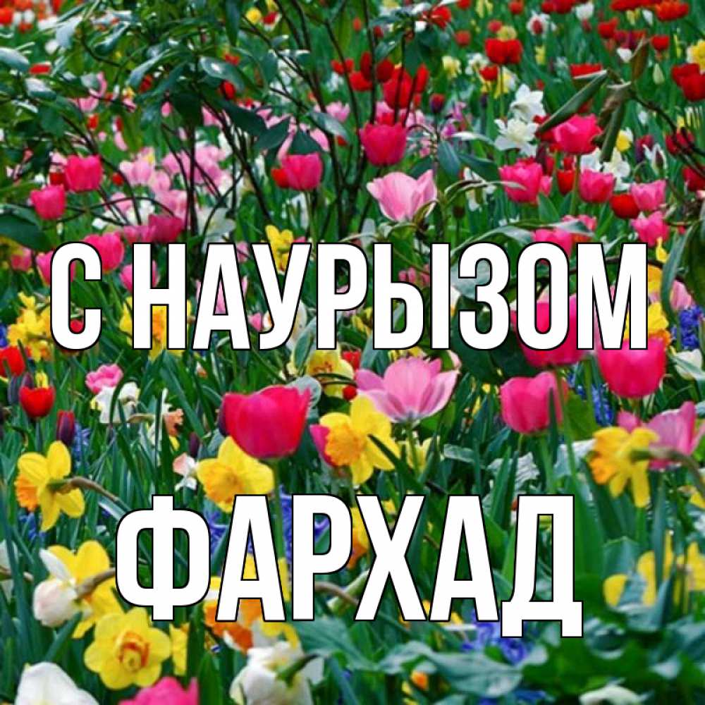 Открытка на каждый день с именем, Фархад С наурызом с наурызом праздником весны поздравления для женщины Прикольная открытка с пожеланием онлайн скачать бесплатно 