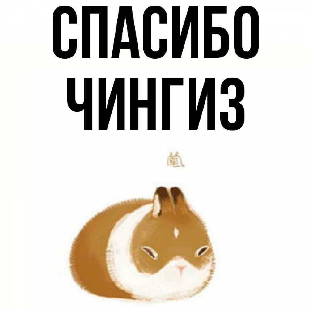 Открытка на каждый день с именем, Чингиз Спасибо коричнево белый домашний питомец Прикольная открытка с пожеланием онлайн скачать бесплатно 