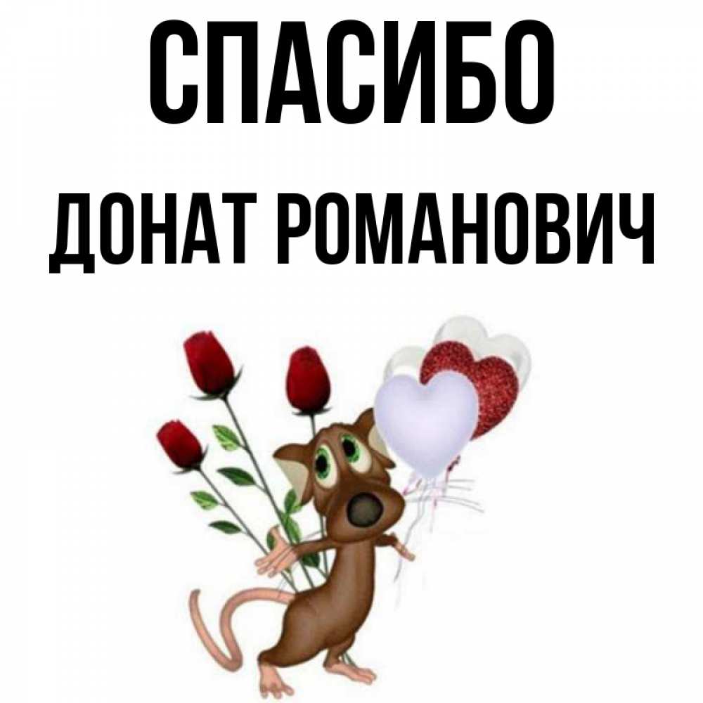 Спасибо за донат. Спасибо за донат