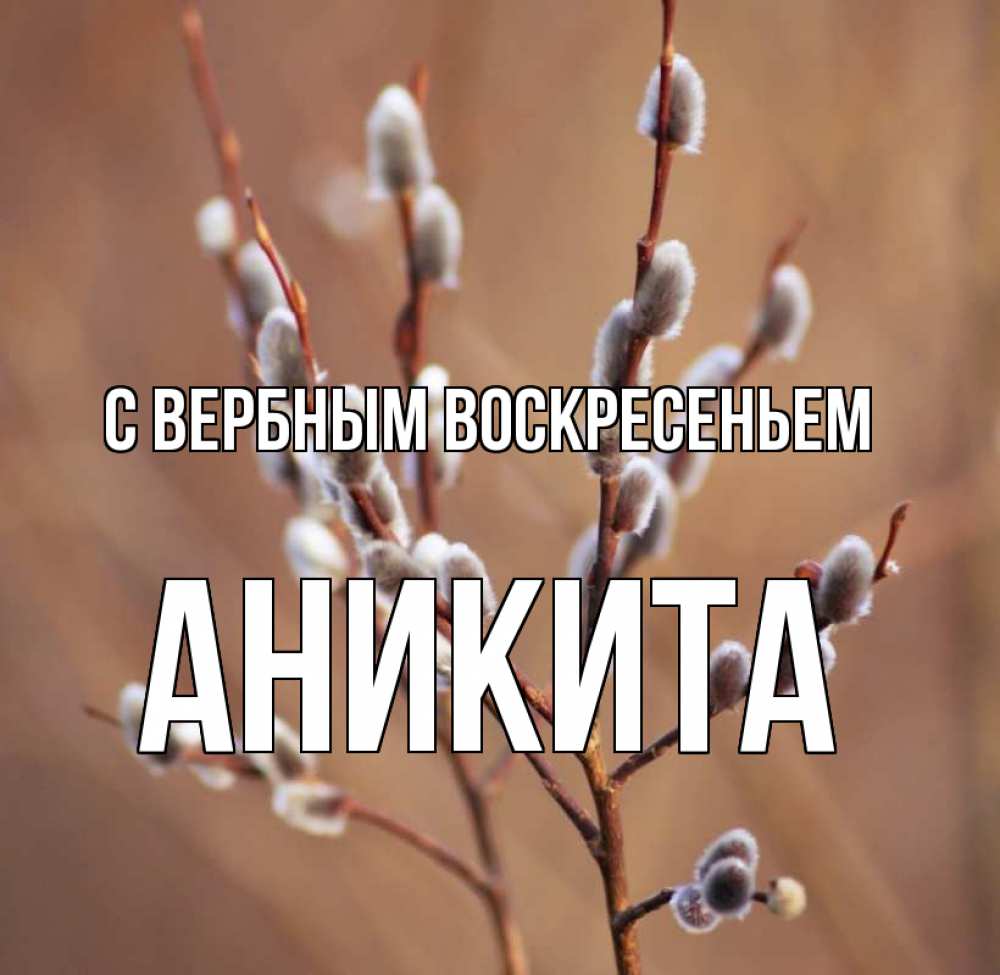 Открытка на каждый день с именем, Аникита С вербным воскресеньем верба Прикольная открытка с пожеланием онлайн скачать бесплатно 