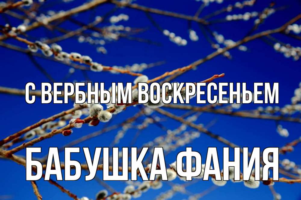 Открытка на каждый день с именем, Бабушка-Фания С вербным воскресеньем верба Прикольная открытка с пожеланием онлайн скачать бесплатно 